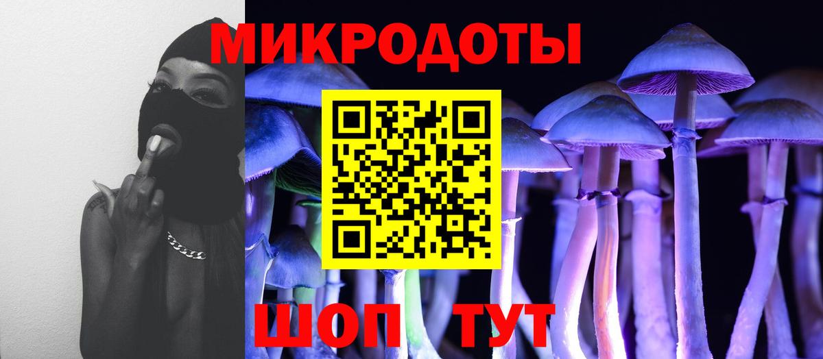 Псилоцибиновые грибы MAGIC MUSHROOMS  Вход с VPN  Всеволожск 